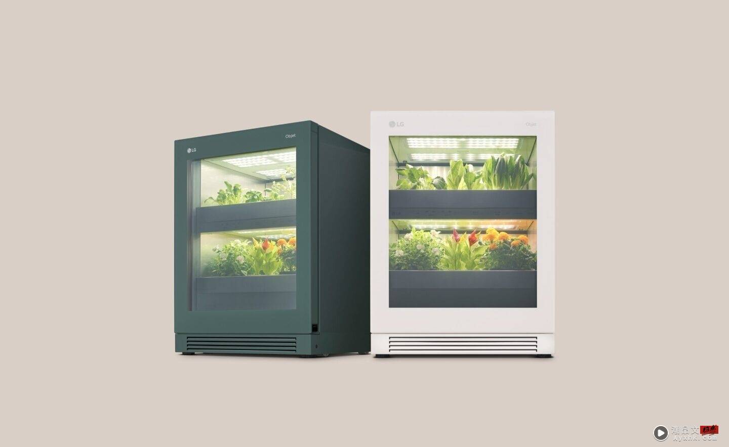 LG 推出智慧蔬菜箱‘ Tiiun ’，在家也能吃到新鲜的有机蔬菜 数码科技 图2张
